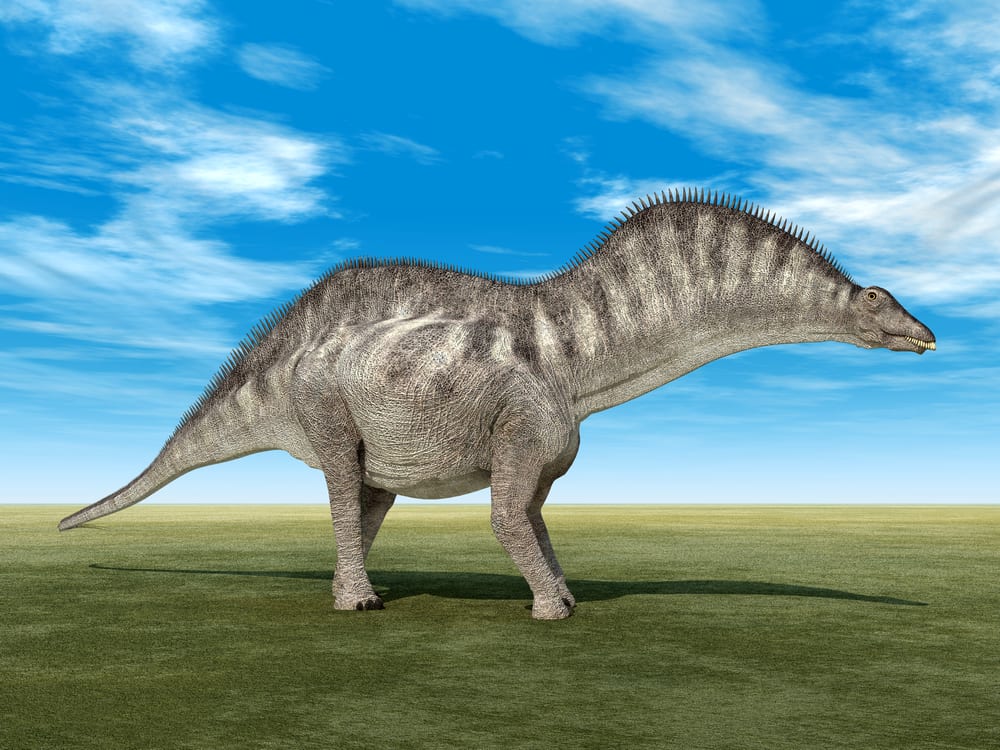 Les dinosaures les plus bizarres - Amargasaurus