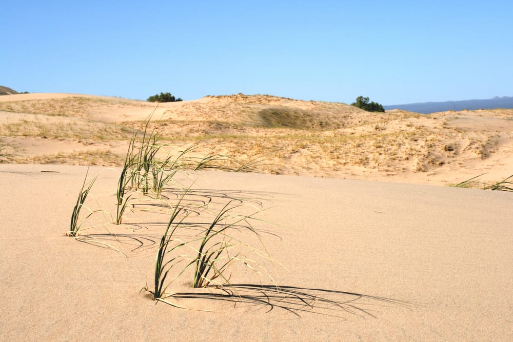 Endroits les plus silencieux - Dunes de Kelso