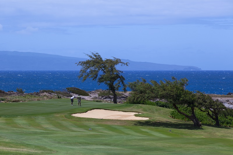 Kapalua-Golf-The-Plantation-Course-Hawaii