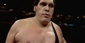 andre the giant death