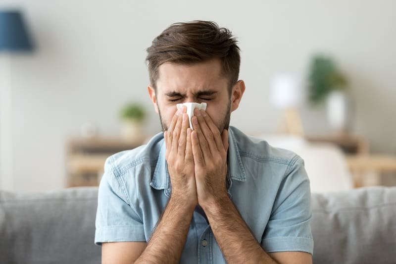 Quelle-est-la-raison-des-saisons-d'allergie-plus longues et plus intenses