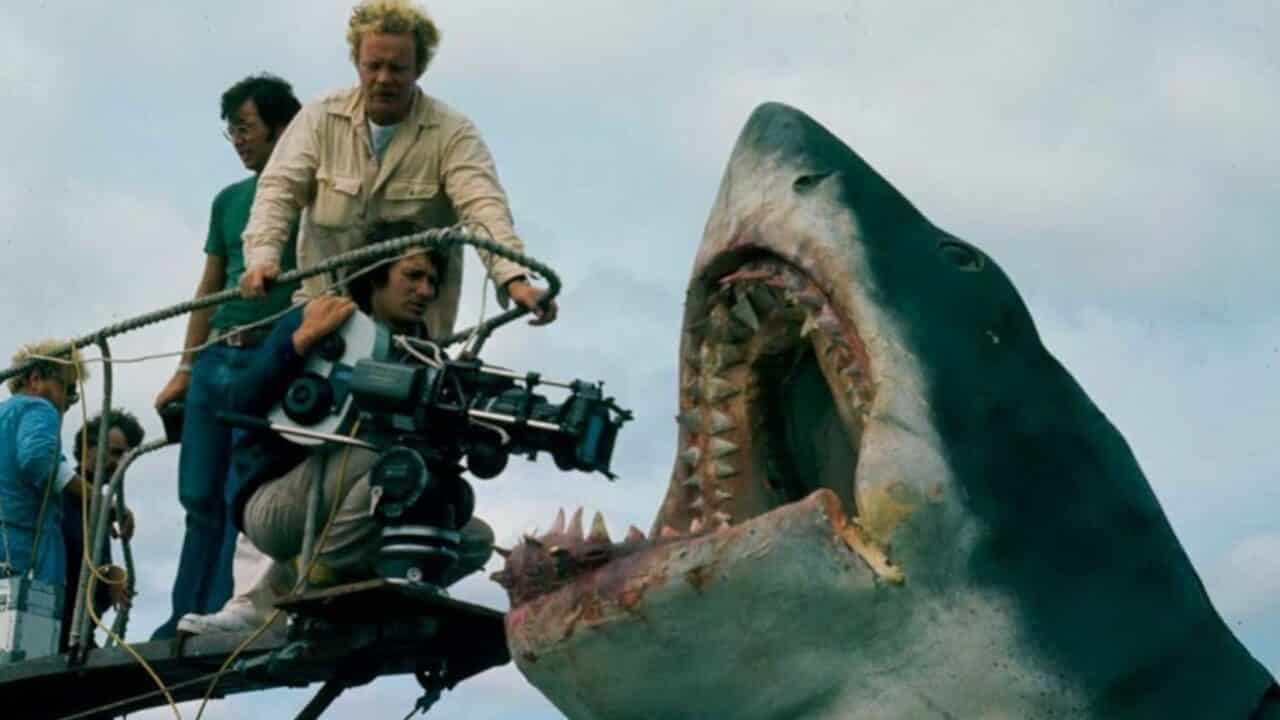 le requin, cinematographe.it