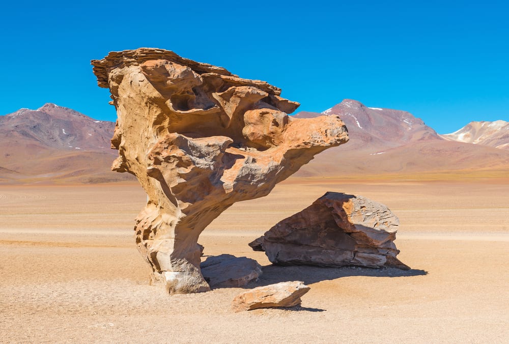 Roches les plus rares - Arbre de pierre en Bolivie