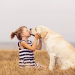Cheapest Dogs - Labrador Retriever